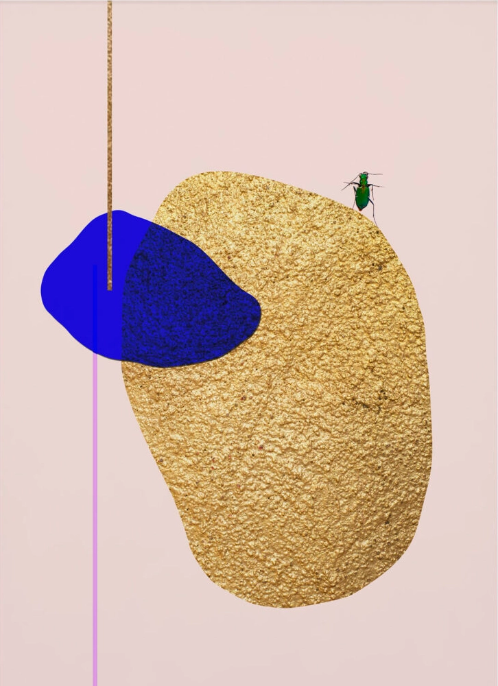 Sueño_dorado_CristinaHernandez_01